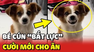 Bé cún BẤT LỰC khi bị con Sen BẮT CƯỜI mới chịu CHO ĂN 😂 | Yêu Lu