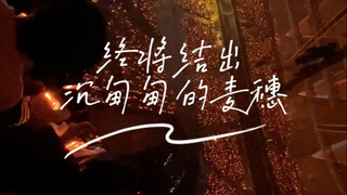 一封致二次元理想与热爱的书信（by小咪）