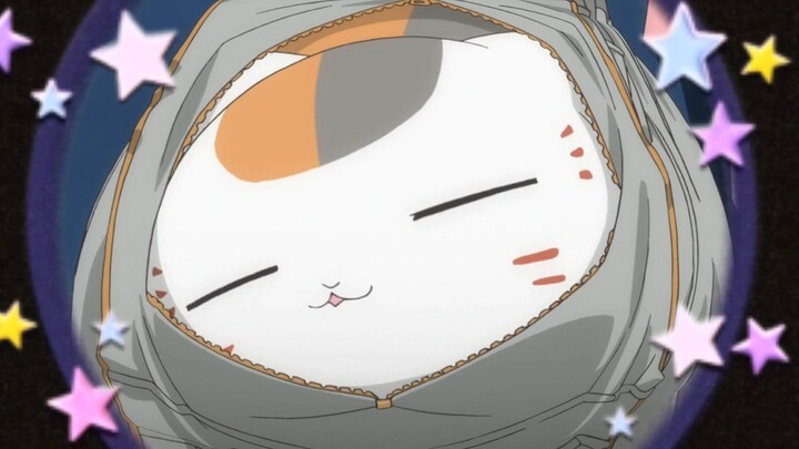 Cat San San is injured~Be good and cute for now~