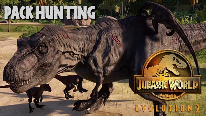 5 JP Velociraptor vs 2 JP T-Rex - Jurassic World Evolution 2 (4K 60FPS)