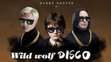 [Mash-up | Harry Potter] "Yelang Disco" - Gem