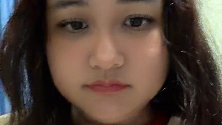 แมวหน้าตาเหมือนกัน