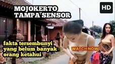 MOJOKERTO TAMPA SENSOR ‼️ SEPERTI APA KEHIDUPAN SEJARAHA ADAT LEGENDA CERITA RAKYAT MOJOKERTO