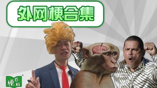 [موسوعة الميمات] استكشاف الكهوف؟ هل المنتجات المستوحاة من الصين رائجة على الإنترنت؟ إليكم مجموعة من 