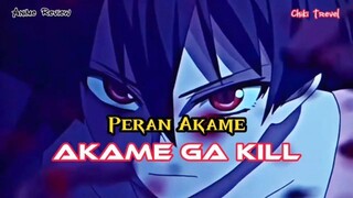 Peran Akame di Akame ga kill