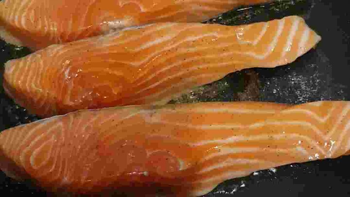 Salmon