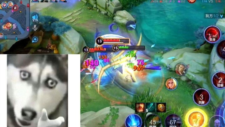 Someone actually asked me, how do I play Charlotte in Arena of Valor?