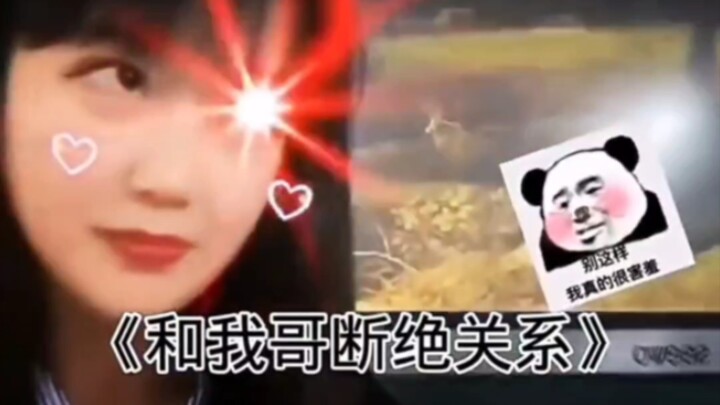 [Funny Video, Episode 105] Level-99 Human’s Surprising Genius Moves—You Won’t Be Able to Stop Laughi