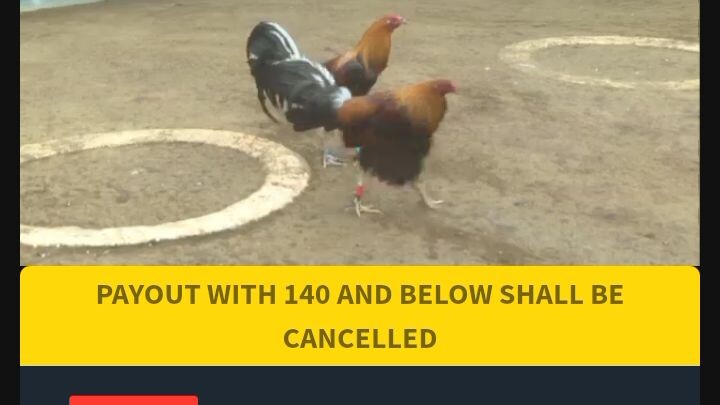 magkapatid yata sila