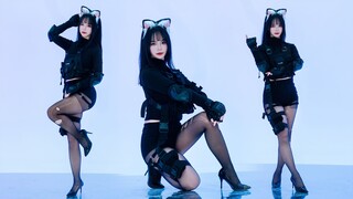 10w粉感谢♥~猫咪战术娘出击！《NO.9》战歌起~