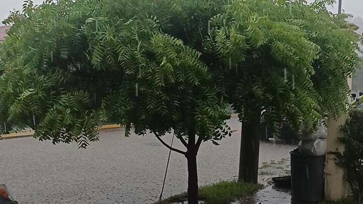 Lluvia en  San Pedro Sula, por fin llueve en la cuidad.