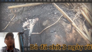 Thịt bò gác bếp có 1 0 2 ở Tây Bắc - Đời Sống Tây Bắc