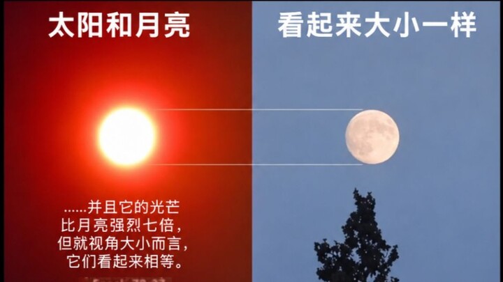 【มีมประจำวัน】ตอนทฤษฎีโลกแบน