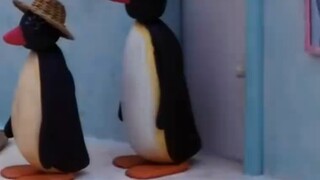 البطن والمؤخرة يجب أن تُعطى لداليانغ للغوص