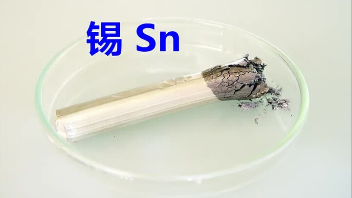 Tín đồ nguyên tố hóa học: Thiếc Sn – Loại kim loại có thể tự “Honkai Impact”!