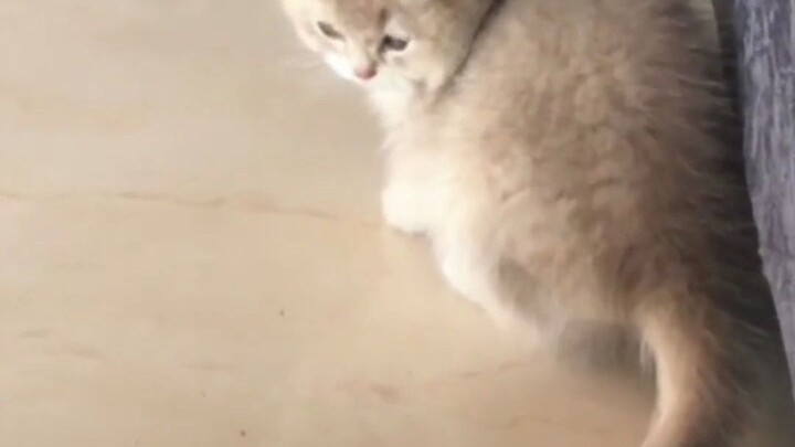 我破坏了他们友谊的桥梁