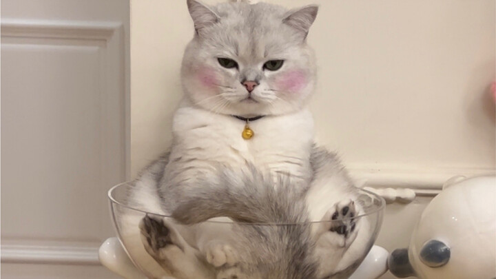 Mẹ làm vậy ắt hẳn có lý do của mình