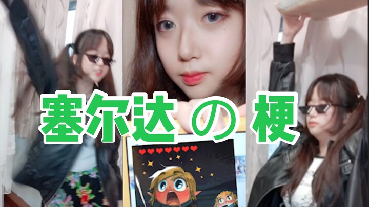 มีแต่ผู้เล่น The Legend of Zelda: Breath of the Wild เท่านั้นที่จะรู้จักมีมเหล่านี้!