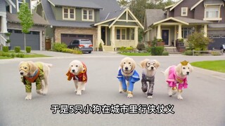 狗狗意外找到外星圣环，戴上获得超能力，变身超级英雄狗