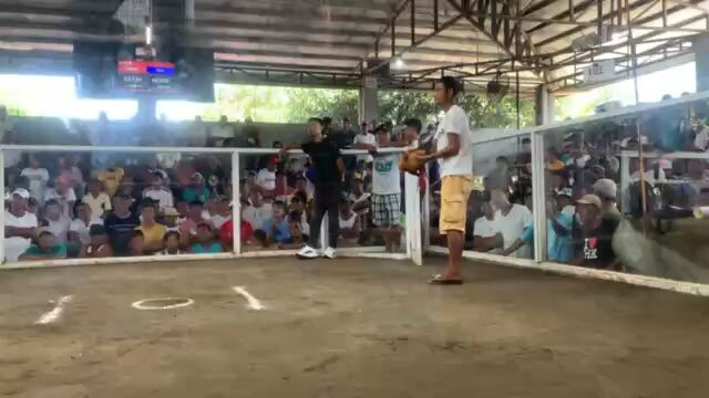 bulik vs white kelso