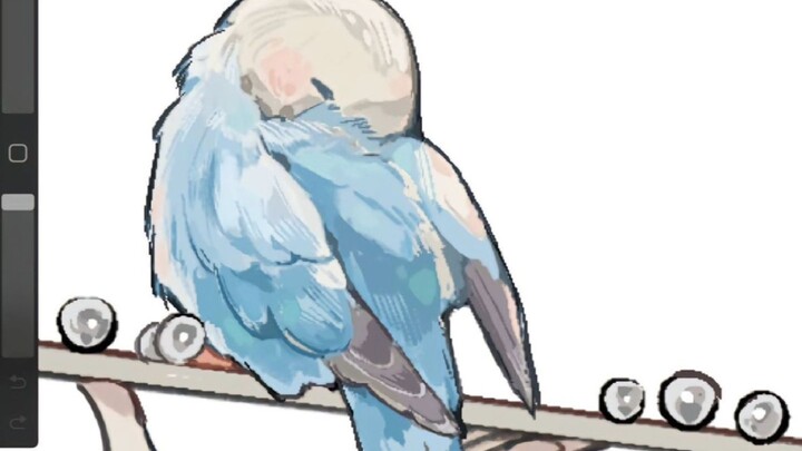 Come birdwatching 🦜~