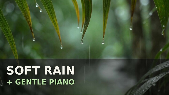 Relaxing Sleep Music with Rain on Forest Leaves - Piano Music, Rain Sounds · Musik Pengantar Tidur
