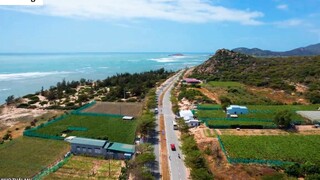 DU LỊCH NINH THUẬN _ Khám phá Cung Đường Ven Biển DT702 đến Vịnh Vĩnh Hy 22