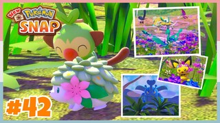 *SHAYMIN* Level 3 Florio Nature Park *Day* Completed | New Pokemon Snap - Part 42 (No Commentary)