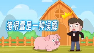 如果你觉得猪很蠢，那你就大错特错了