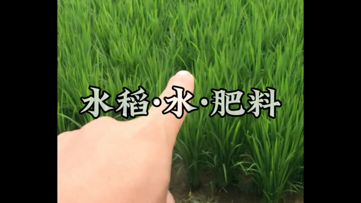 Chinese-style planting