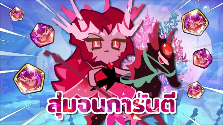 ✨ สุ่มจนการันตี คุกกี้คริมสันโครอล จะเกลือแค่ไหนกัน! | Cookie Run : Kingdom