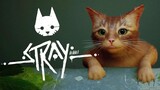 Kucing Cyberpunk | Stray (Bahasa Indonesia)