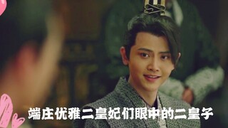 【二皇子】二皇妃们视角的二皇子