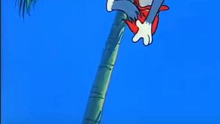 Lên bờ: nghiên cứu động vật