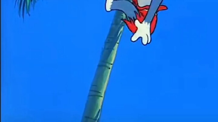 ขึ้นฝั่ง: วิจัยสัตว์