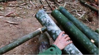 làm Nhà Tre Dựng Bếp Nấu Nướng Tập 4 _ Sống Trong Rừng _ make a bamboo house _ C