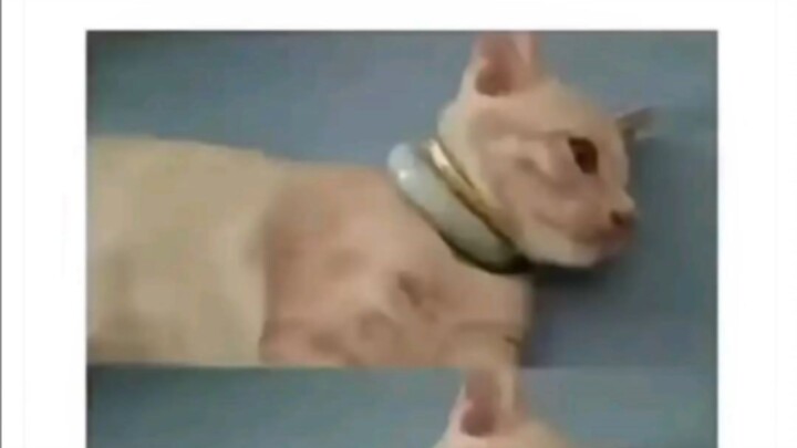 Which should you save: Hakimi or the bracelet? 😂