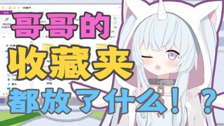 咦？哥哥你收藏夹里都放了什么呀？？