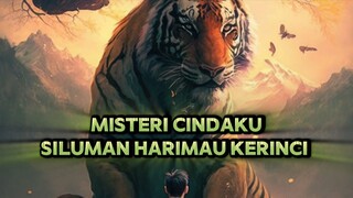 ‼️KISAH NYATA "CINDAKU" SILUMAN HARIMAU KERINCI ‼️