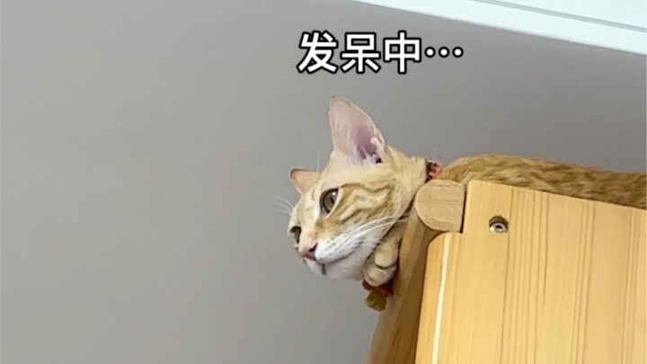 Misi pasti terlaksana...