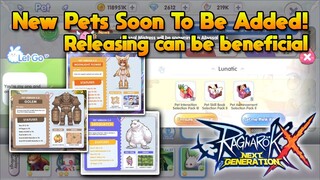 New Pets Soon To Be Added & New Release Pet System With Rewards [ROX]