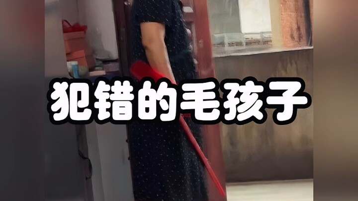 See if your furry baby is on here!