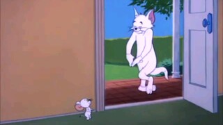 Tom and Jerry tập 91 - 95