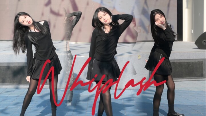 【whiplash】250104 Global Harbor