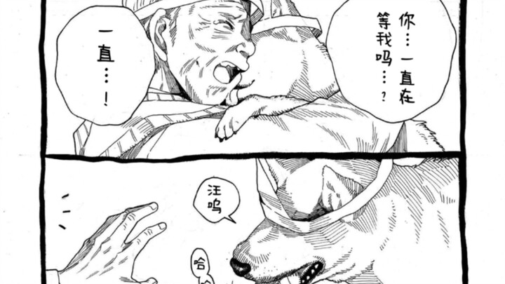 สุนัขผู้ซื่อสัตย์ที่เฝ้ารอ