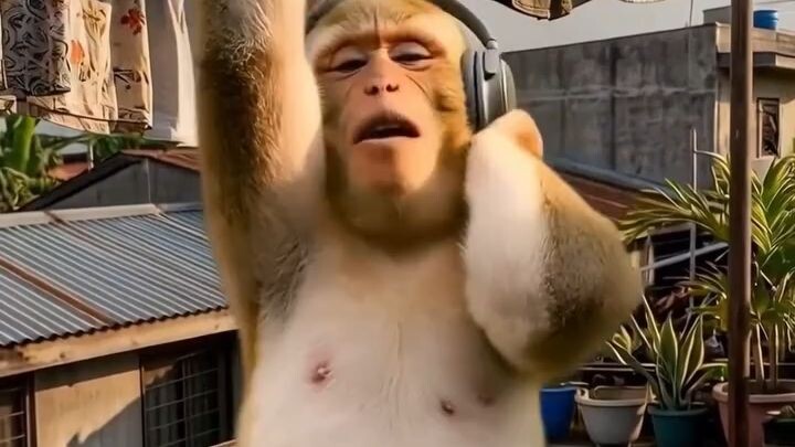 Hawak mo ang bref😆🤣