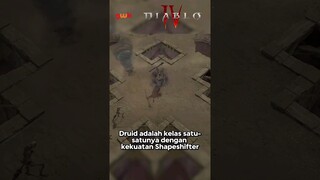 Alasan Kenapa Harus Main Class Druid di Diablo 4! #druid #diablo4 #actionrpg #gamerwk