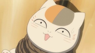 You saved me, you were kidnapped and I came to save you, the indissoluble bond between cat teacher a