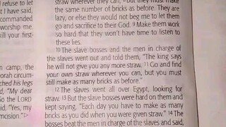 Daily Verse.                  Exodus 5:12-16