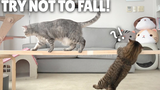 Challenge for cats to cross different size of single-plank bridges